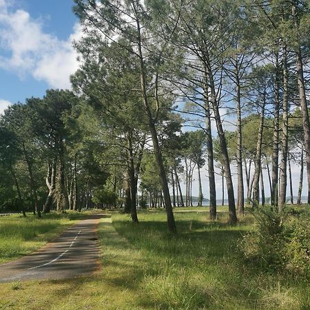 Appartements Au Coeur Du Golf, Proche Du Lac Et Velodyssee ビスカロッス エクステリア 写真