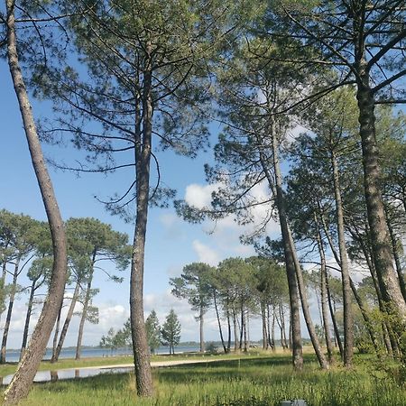 Appartements Au Coeur Du Golf, Proche Du Lac Et Velodyssee ビスカロッス エクステリア 写真