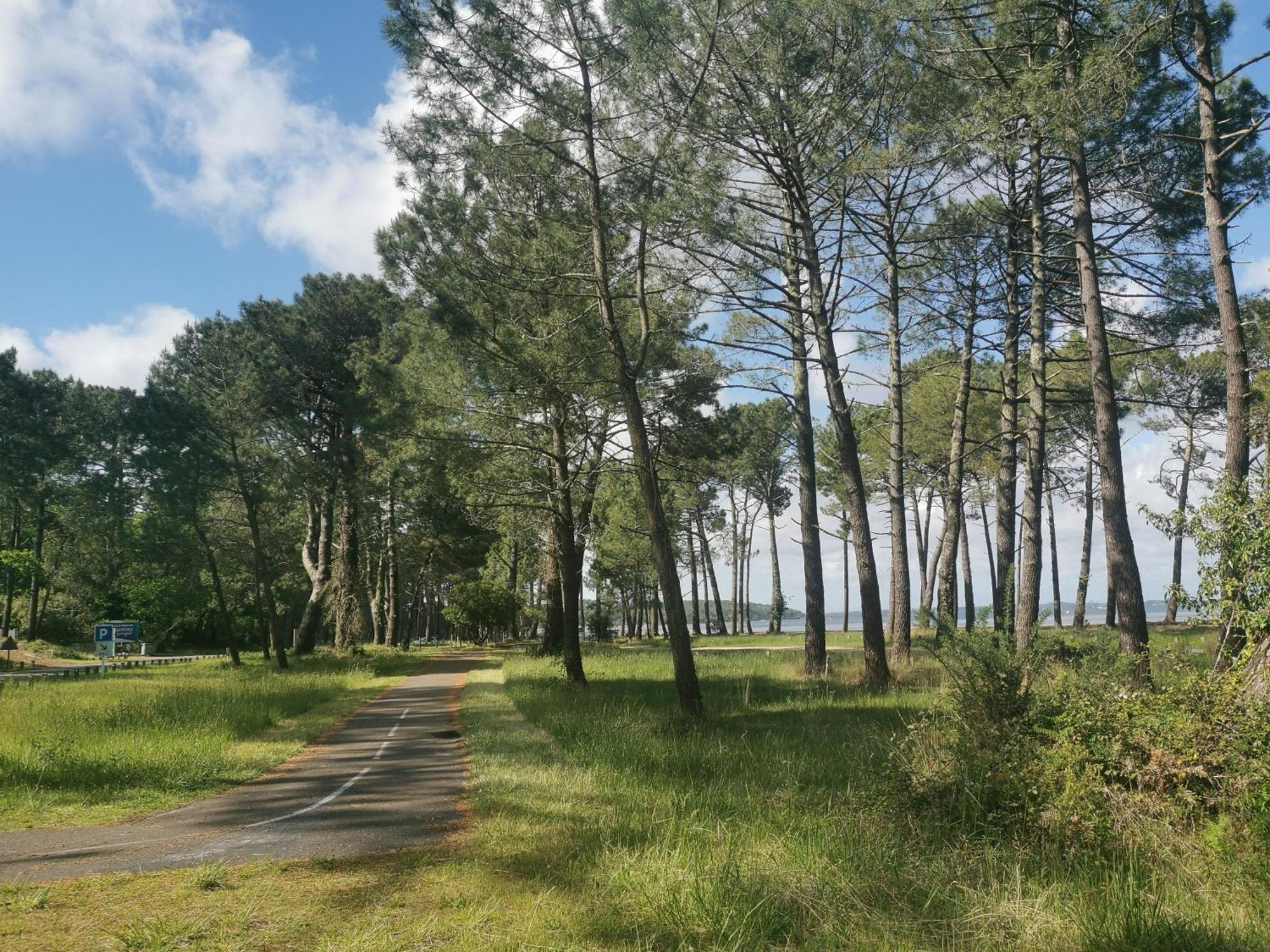 Appartements Au Coeur Du Golf, Proche Du Lac Et Velodyssee ビスカロッス エクステリア 写真